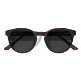 Óculos de Sol | Redondo Médio B16 Tartaruga Fosco
