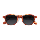 Óculos de Sol | E13 Havana | Acetato Quadrado Pequeno