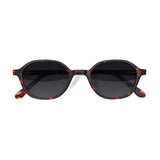 Óculos de Sol | G23 Tartaruga | Acetato Hexagonal Médio
